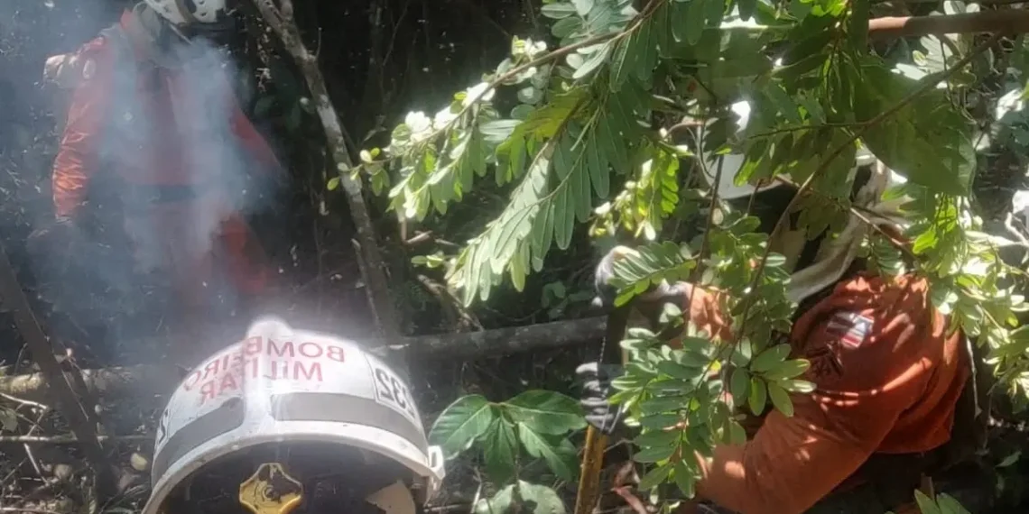 Operação Florestal 2024: focos de incêndio em Barreiras, Pilão Arcado e outras cidades