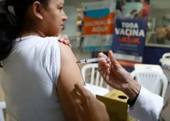 Anvisa publica novas composições de vacinas contra gripe para 2025