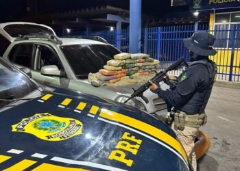 PRF apreende 34 kg de super maconha escondidos em cilindro de gás na BR-242