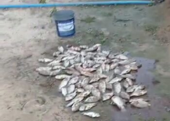 População do Assentamento Santa Rita Sofre com Falta de Energia Elétrica