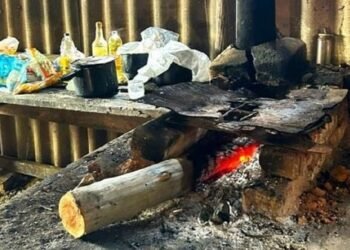 Idoso e mais quatro pessoas em situação análoga à escravidão são resgatados no oeste baiano