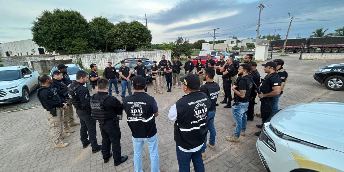 Operação Piratas: Polícia Civil da 11ª COORPIN de Barreiras em Ação