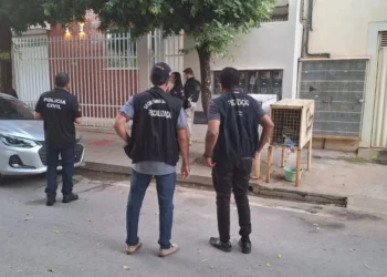 Operação investiga sonegação de R$ 8 milhões em impostos de grupo empresarial do oeste do estado