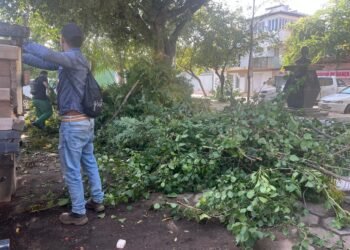 Ventania e tempestade causam transtornos em Barreiras e região