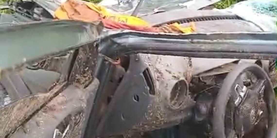 Riachão das Neves: Animais soltos na pista causam acidentes e deixam feridos na BA que liga BR-135 a Malhada de Areia