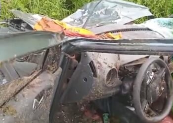 Riachão das Neves: Animais soltos na pista causam acidentes e deixam feridos na BA que liga BR-135 a Malhada de Areia