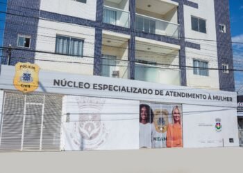 LEM: POLÍCIA CIVIL CUMPRE MANDADO DE PRISÃO PREVENTIVA POR DESCUMPRIMENTO DE MEDIDA PROTETIVA DE INVESTIGADO POR TENTATIVA DE FEMICÍDIO