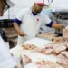 Gripe aviária: 17 países suspendem restrição à carne brasileira