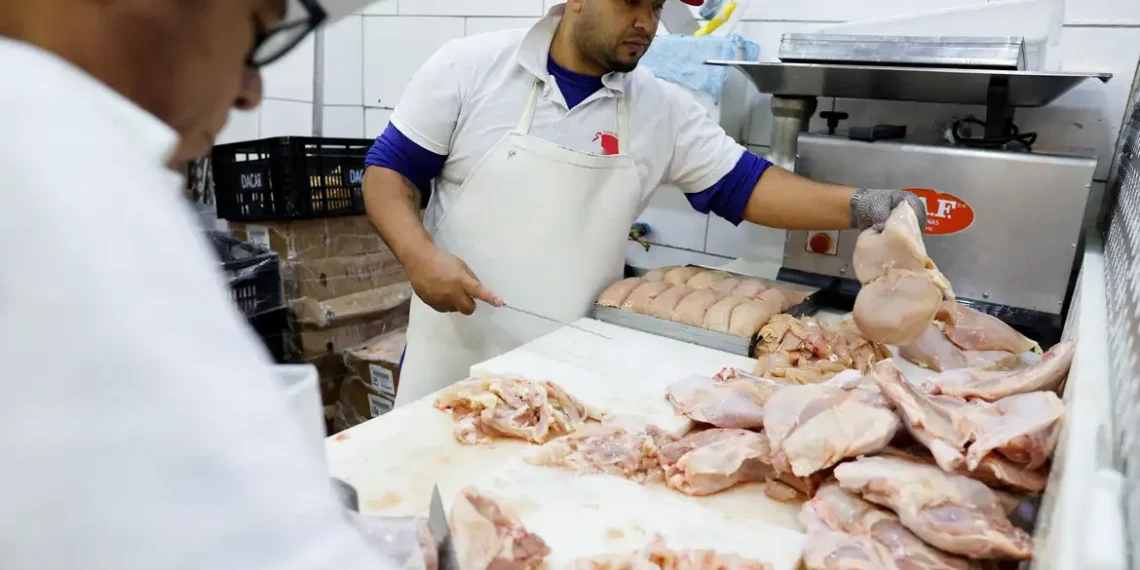 Brasil se declara país livre da gripe aviária