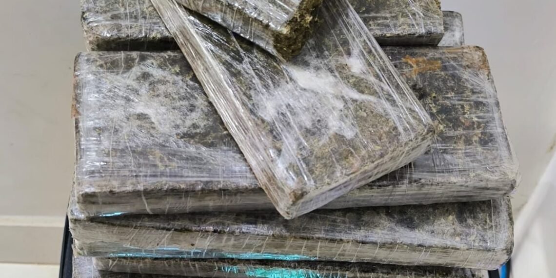 PM apreende mais de 9 kg de maconha durante blitz na BR-135, em Barreiras