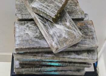 PM apreende mais de 9 kg de maconha durante blitz na BR-135, em Barreiras