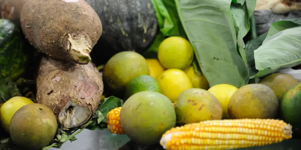 Preço da cesta básica cai em 15 de 17 capitais pesquisadas