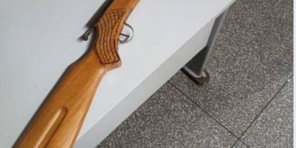 Polícia Militar apreende arma de fogo artesanal em Formosa do Rio Preto