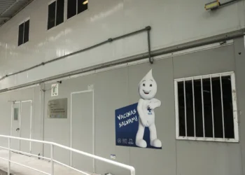 Dia da Imunização: conheça o serviço dos centros de vacinas especiais