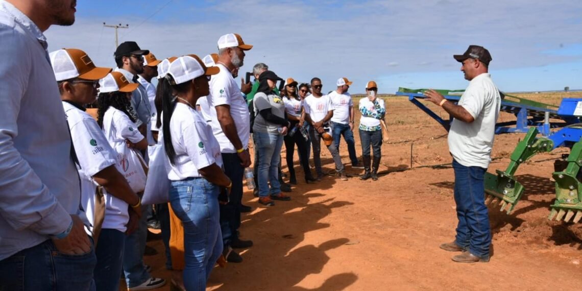 Cacau, tecnologia e oportunidades: Riachão das Neves recebe Dia de Campo e mostra força no cultivo de cacau