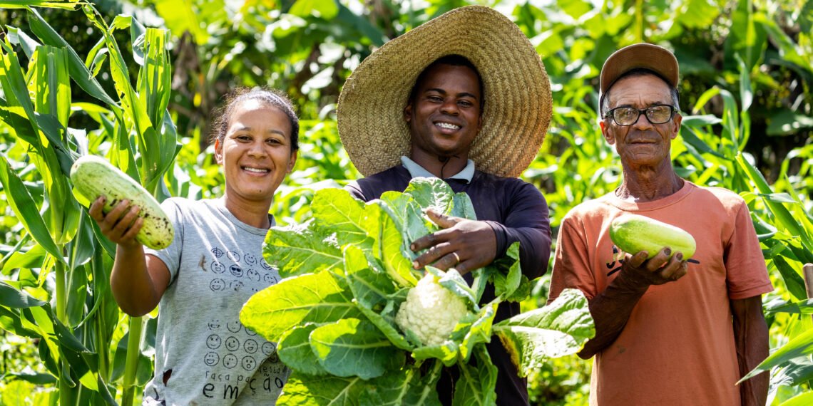 Governo da Bahia lança Plano Safra 2025/2026 nesta quarta-feira (23)