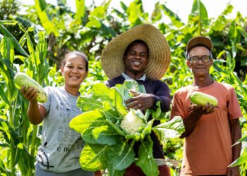 Governo da Bahia lança Plano Safra 2025/2026 nesta quarta-feira (23)