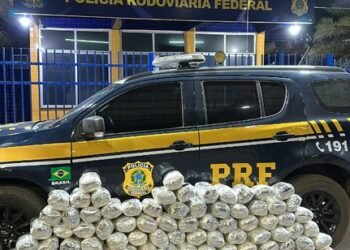 PRF recupera caminhonete roubada e apreende quase 50 kg de maconha em Barreiras (BA)