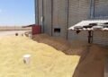 Trabalhador morre após cair em silo de soja em fazenda na Bahia; colega de trabalho sobreviveu