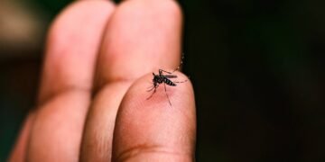 Campanha nacional reforça combate à dengue e marca Dia D de prevenção em 8 de novembro