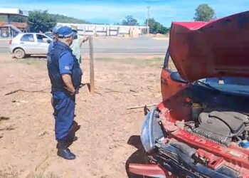 Carro perde controle, quebra cerca e invade roça na BR-135