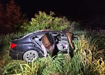 Acidente na BR-349 envolve veículo e animal solto na pista em São Félix do Coribe