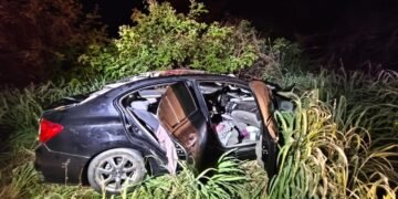 Acidente na BR-349 envolve veículo e animal solto na pista em São Félix do Coribe