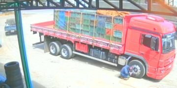 PRF recupera ferramentas furtadas e encaminha suspeito à Polícia Civil em Seabra (BA)