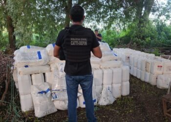 POLÍCIA CIVIL DA BAHIA RECUPERA CARGA DE DEFENSIVOS AGRICOLAS AVALIADA EM R$ 340 MIL REAIS.
