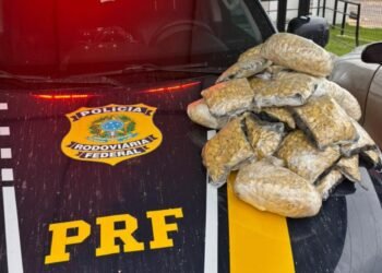PRF apreende cerca de 20 mil comprimidos de êxtase na BR-349, em Correntina (BA