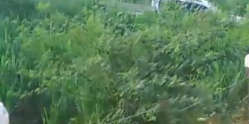 FAZENDEIRO FAZ APEL0 POR SEGURANÇA NA BR-135