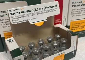 Bahia inicia distribuição de vacina 100% brasileira contra a dengue para os 417 municípios