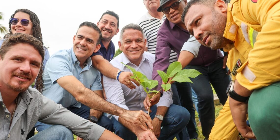 Governo inicia projeto que vai arborizar e melhorar qualidade ambiental em 12 cidades do interio