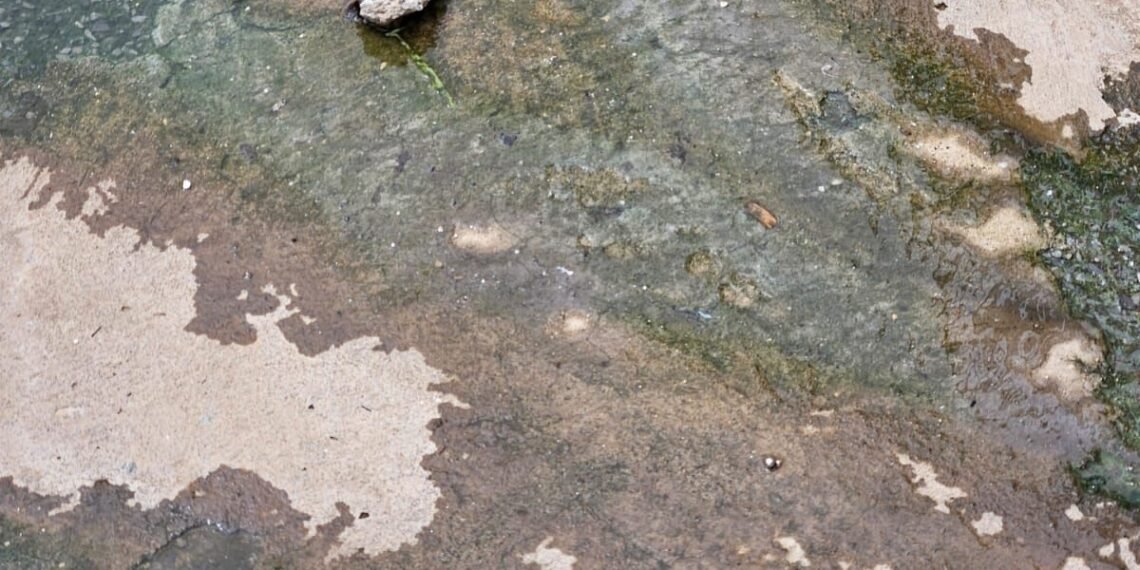 Morador denuncia esgoto a céu aberto e cobra providências no bairro São Miguel, em Barreiras