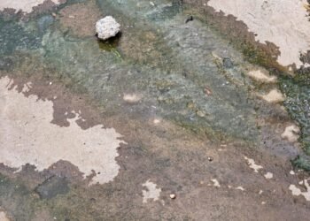 Morador denuncia esgoto a céu aberto e cobra providências no bairro São Miguel, em Barreiras