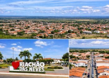 TCM APLICA MULTA EM EX-PREFEITO DE RIACHÃO DAS NEVES POR CONTRATAÇÃO IRREGULAR DE OSCIP