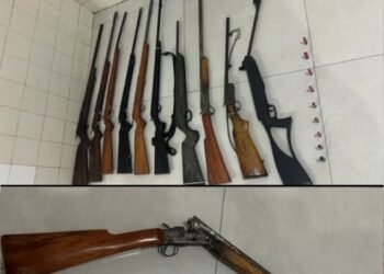PM apreende 10 armas de fogo em Barreiras