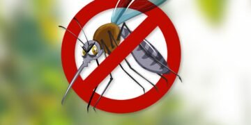 Secretaria de Saúde de Barreiras alerta para casos de arboviroses e reforça necessidade de vigilância da população