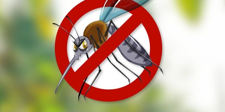 Secretaria de Saúde de Barreiras alerta para casos de arboviroses e reforça necessidade de vigilância da população