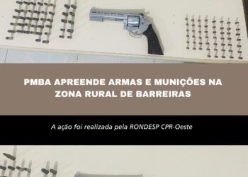 PMBA APREENDE ARMAS E MUNIÇÕES NA ZONA RURAL DE BARREIRAS