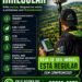 Seu imóvel pode estar irregular – Evite multas, bloqueio na venda e problemas com financiamento
